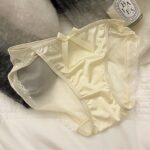 Satin Bow Lace Mesh Panties - Image 3