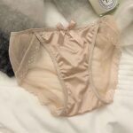 Satin Bow Lace Mesh Panties - Image 4