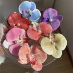 Phalaenopsis Pearl Hair Clip