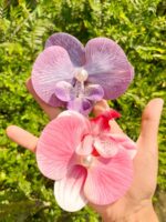 Phalaenopsis Pearl Hair Clip - Image 7